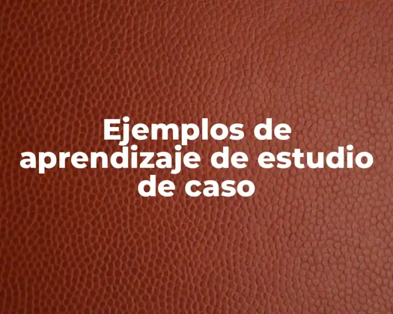 Ejemplos de aprendizaje de estudio de caso