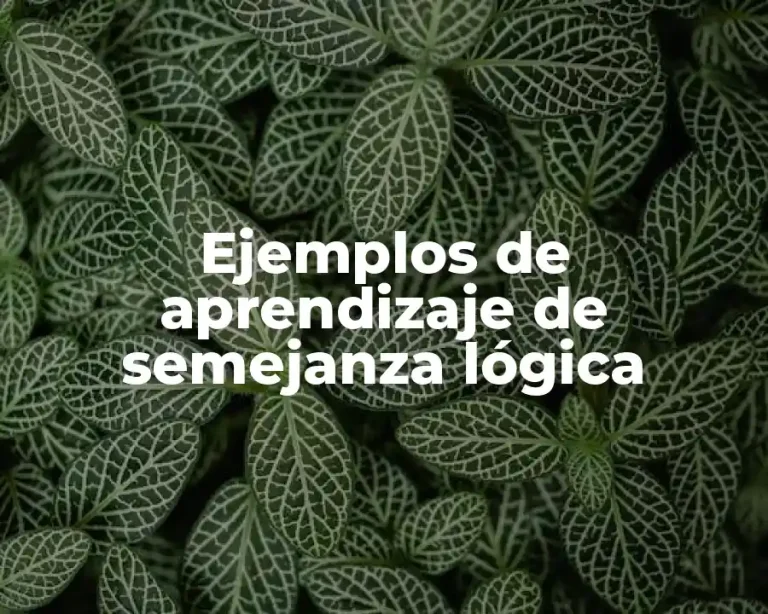 Ejemplos de aprendizaje de semejanza lógica