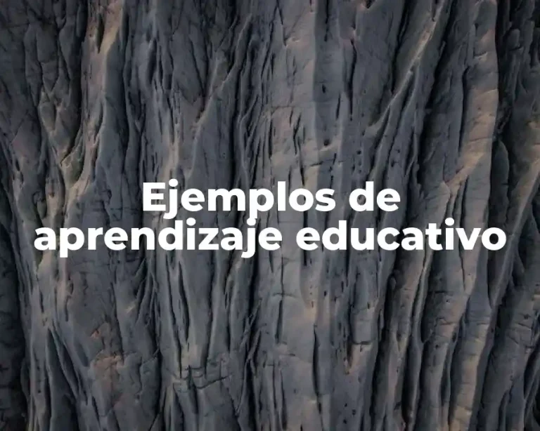Ejemplos de aprendizaje educativo