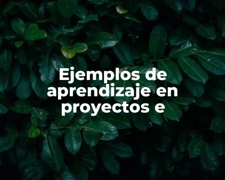 Ejemplos de aprendizaje en proyectos e