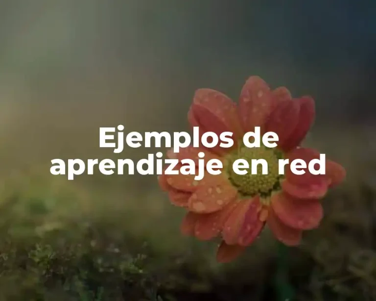 Ejemplos de aprendizaje en red