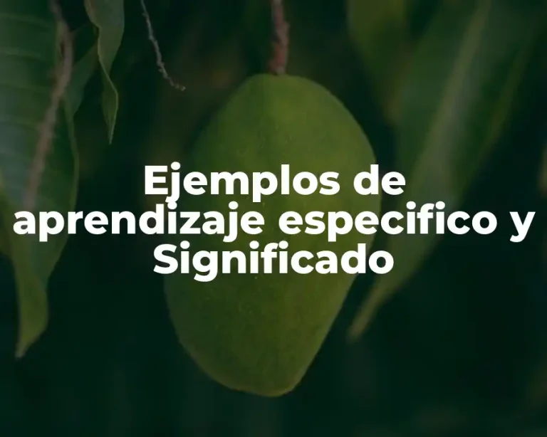 Ejemplos de aprendizaje especifico y Significado