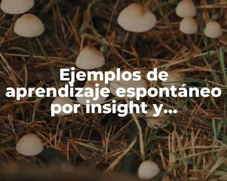 Ejemplos de aprendizaje espontáneo por insight y Significado