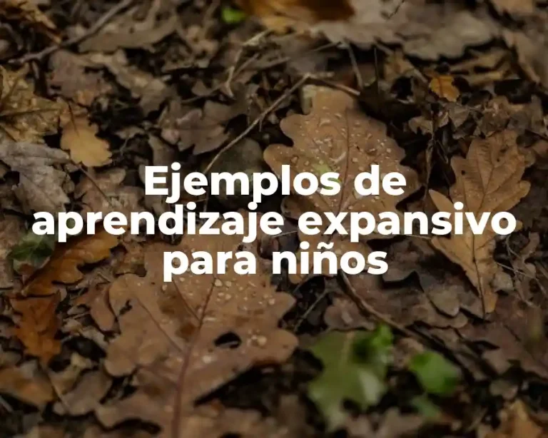 Ejemplos de aprendizaje expansivo para niños