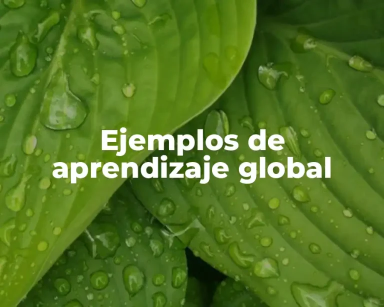 Ejemplos de aprendizaje global