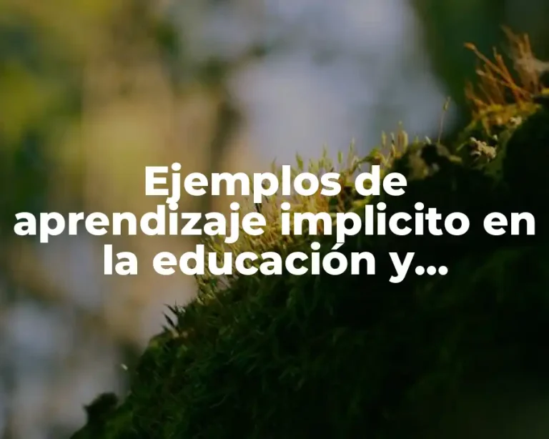 Ejemplos de aprendizaje implicito en la educación y Significado