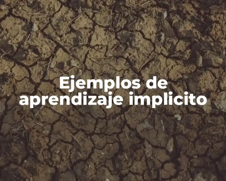 Ejemplos de aprendizaje implicito