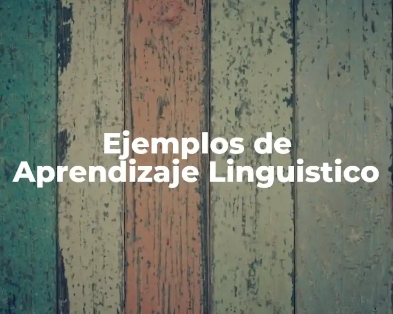Ejemplos de Aprendizaje Linguistico