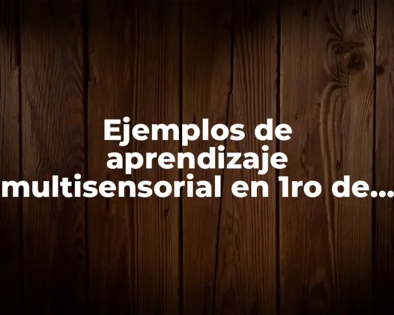 Ejemplos de aprendizaje multisensorial en 1ro de preescolar