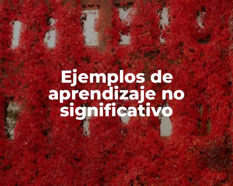 Ejemplos de aprendizaje no significativo