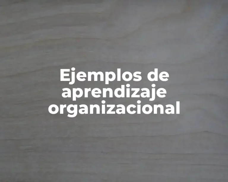 Ejemplos de aprendizaje organizacional