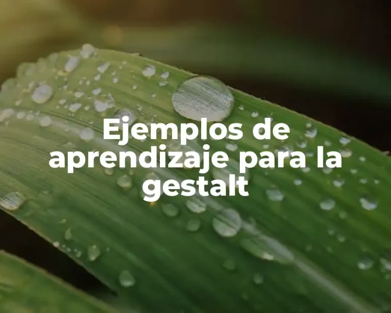 Ejemplos de aprendizaje para la gestalt