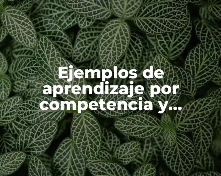 Ejemplos de aprendizaje por competencia y Significado