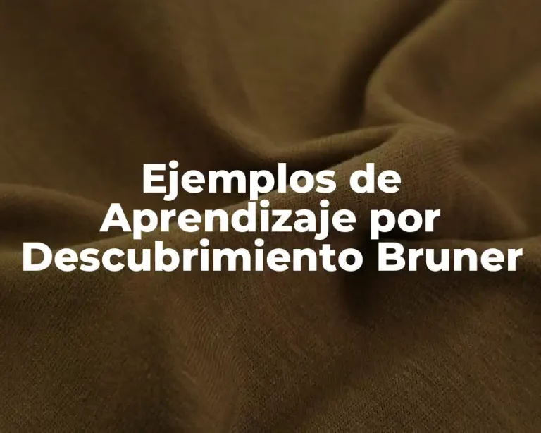 Ejemplos de Aprendizaje por Descubrimiento Bruner