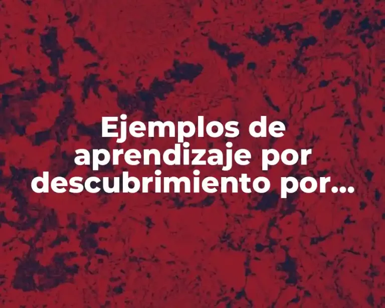 Ejemplos de aprendizaje por descubrimiento por Bruner