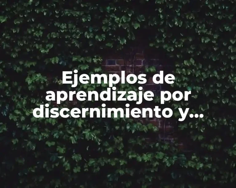 Ejemplos de aprendizaje por discernimiento y Significado