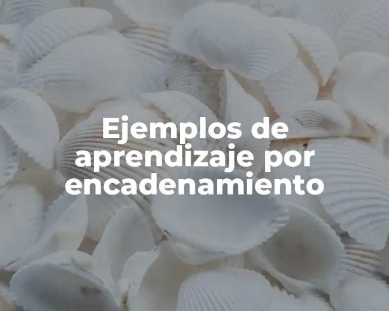 Ejemplos de aprendizaje por encadenamiento