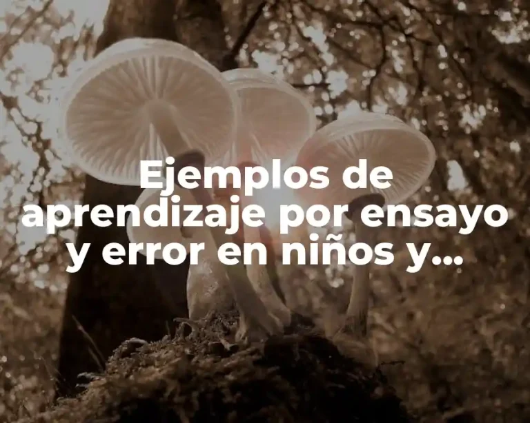 Ejemplos de aprendizaje por ensayo y error en niños y Significado