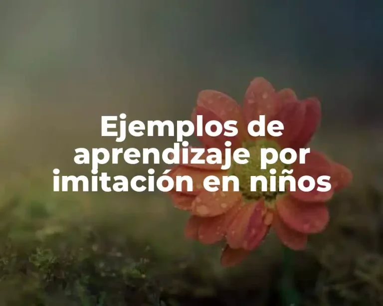 Ejemplos de aprendizaje por imitación en niños