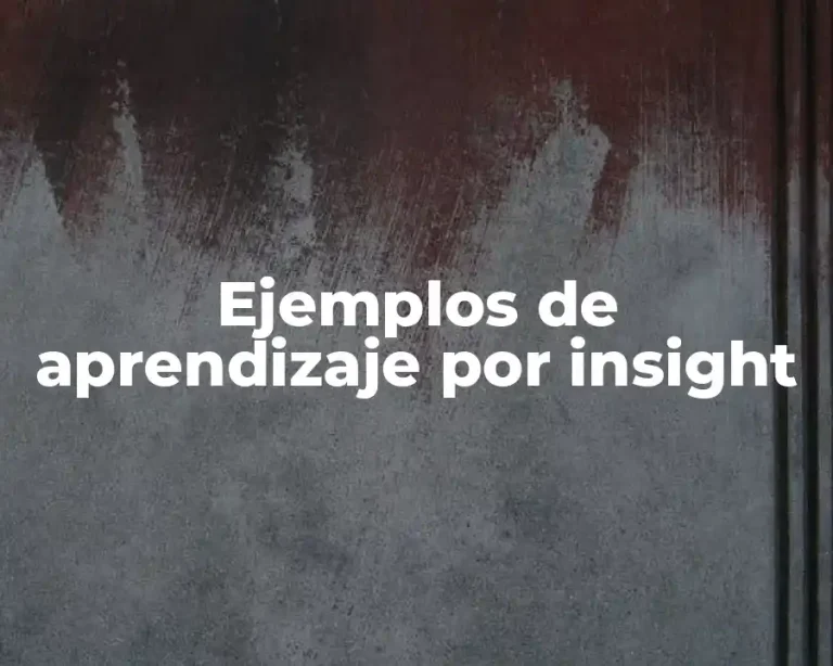 Ejemplos de aprendizaje por insight