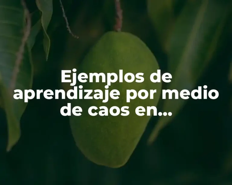 Ejemplos de aprendizaje por medio de caos en universidades