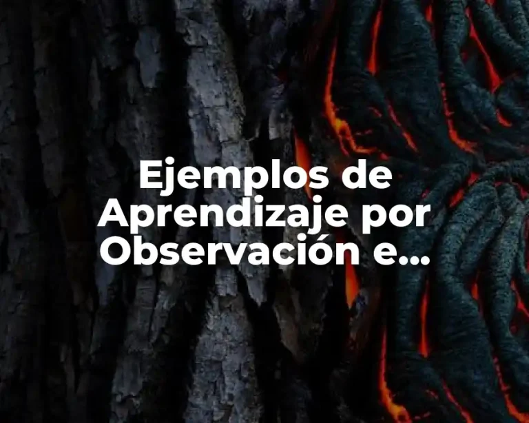 Ejemplos de Aprendizaje por Observación e Imitación