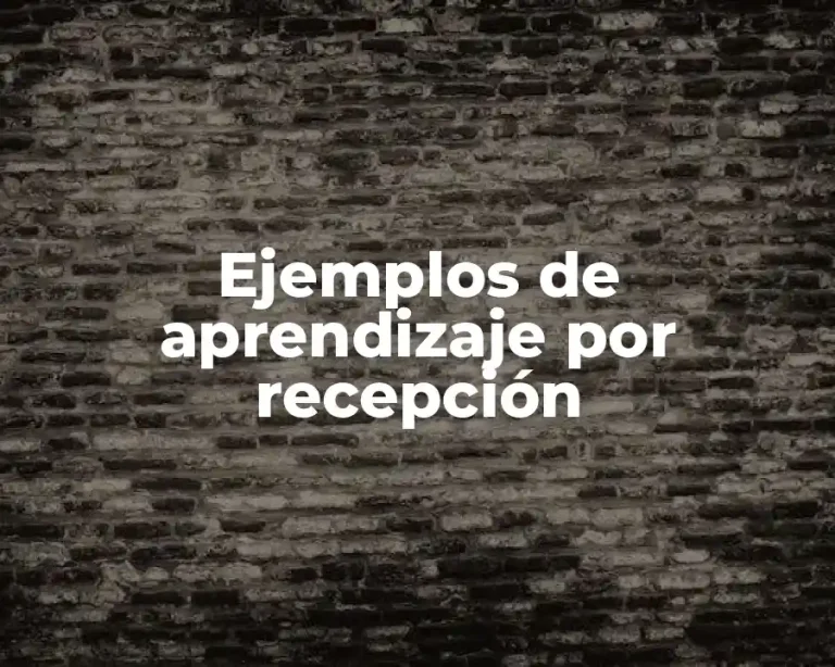 Ejemplos de aprendizaje por recepción