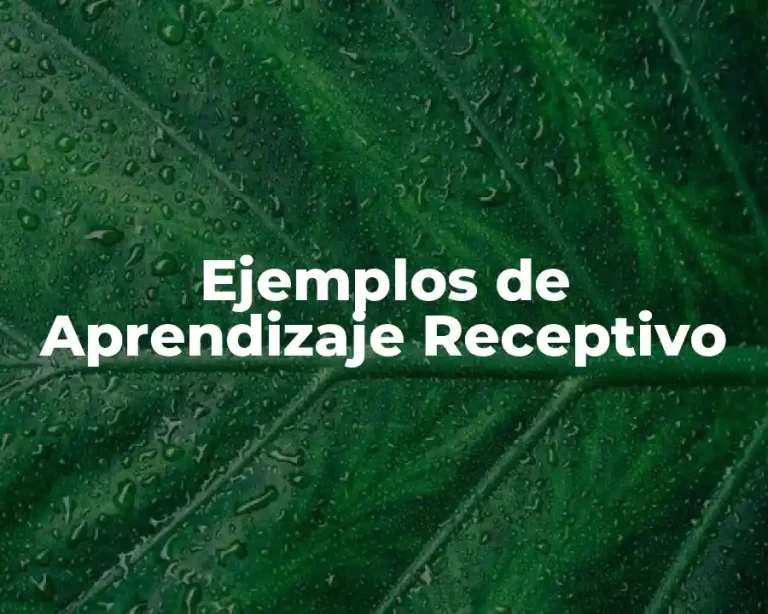 Ejemplos de Aprendizaje Receptivo