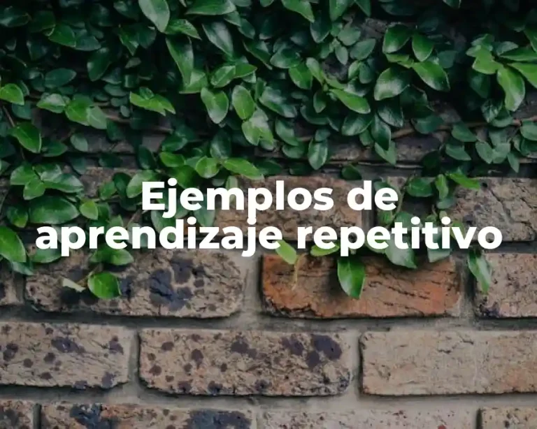 Ejemplos de aprendizaje repetitivo