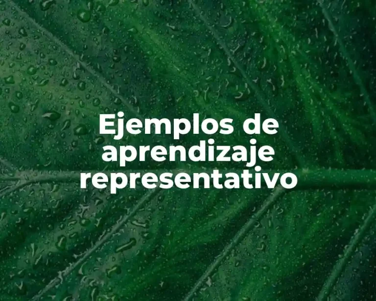 Ejemplos de aprendizaje representativo