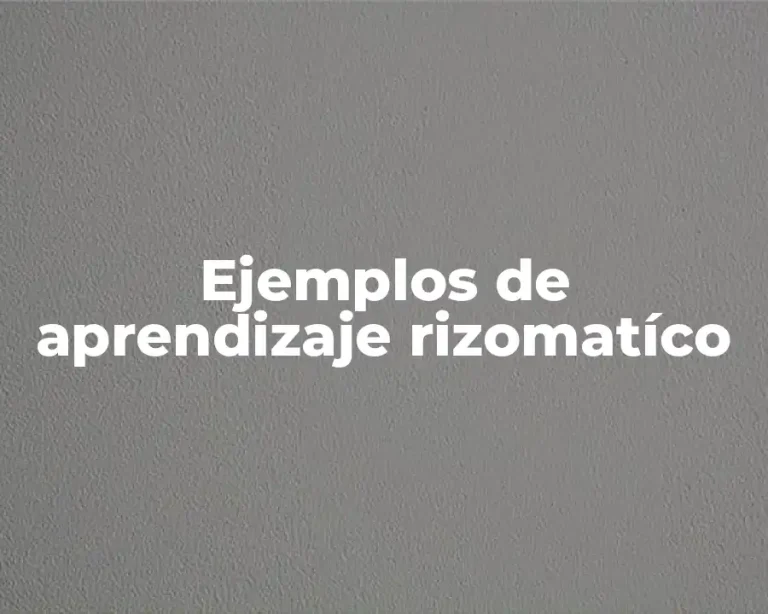 Ejemplos de aprendizaje rizomatíco