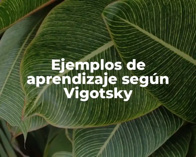 Ejemplos de aprendizaje según Vigotsky