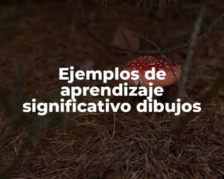 Ejemplos de aprendizaje significativo dibujos
