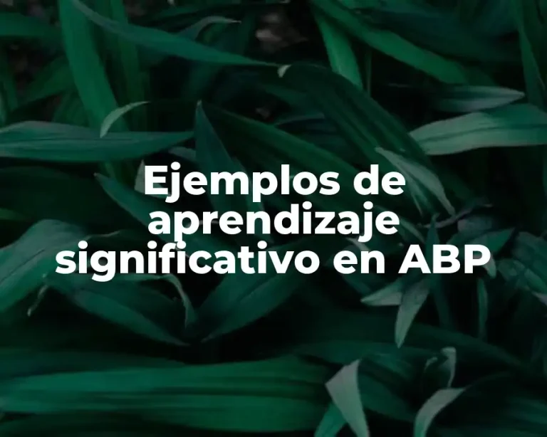 Ejemplos de aprendizaje significativo en ABP