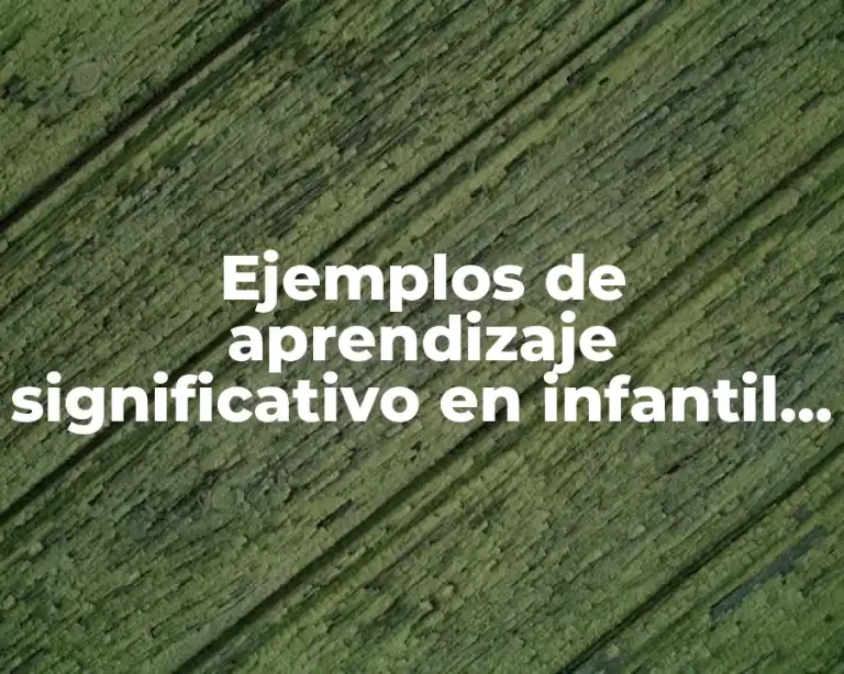 Ejemplos de aprendizaje significativo en infantil y Significado