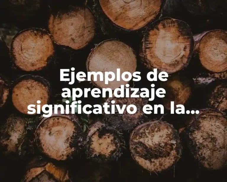 Ejemplos de aprendizaje significativo en la escuela