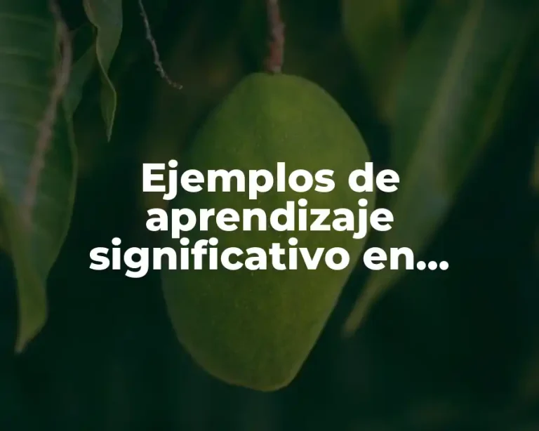Ejemplos de aprendizaje significativo en preescolar