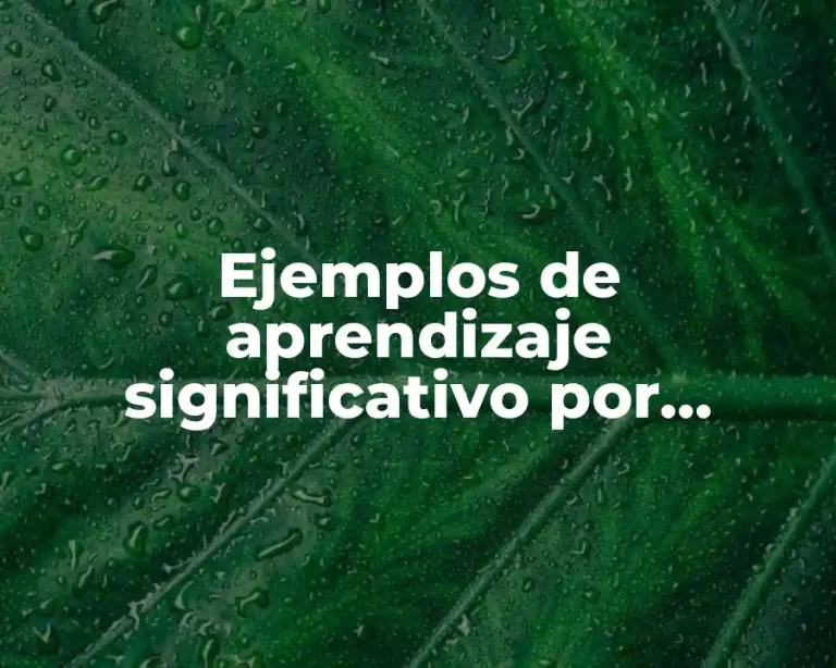 Ejemplos de aprendizaje significativo por conceptos y Significado