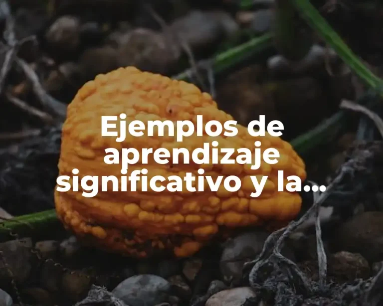Ejemplos de aprendizaje significativo y la psicologia cognitiva y Significado
