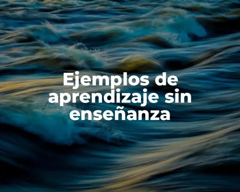 Ejemplos de aprendizaje sin enseñanza