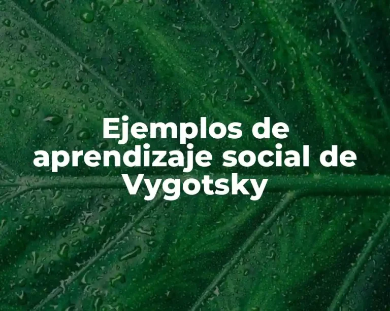 Ejemplos de aprendizaje social de Vygotsky