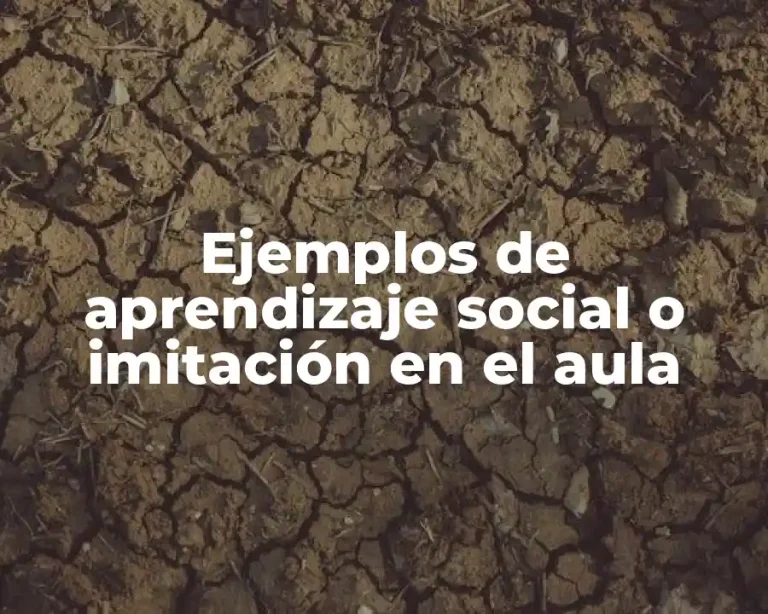 Ejemplos de aprendizaje social o imitación en el aula