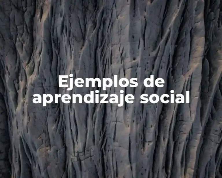 Ejemplos de aprendizaje social