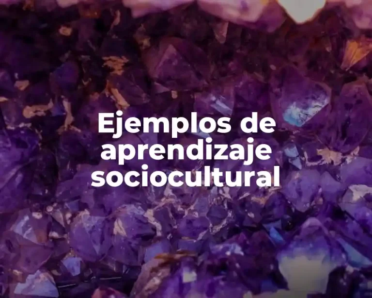 Ejemplos de aprendizaje sociocultural