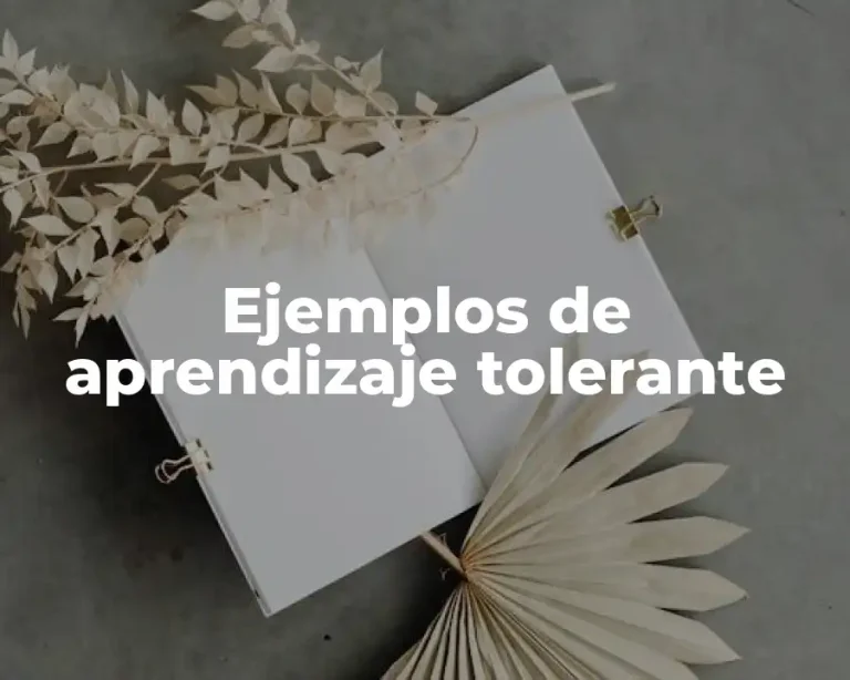 Ejemplos de aprendizaje tolerante