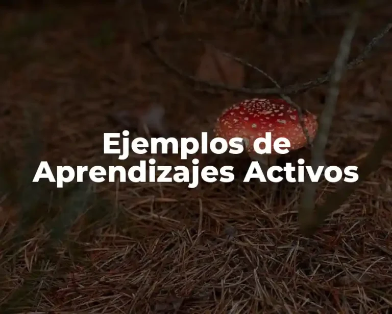 Ejemplos de Aprendizajes Activos