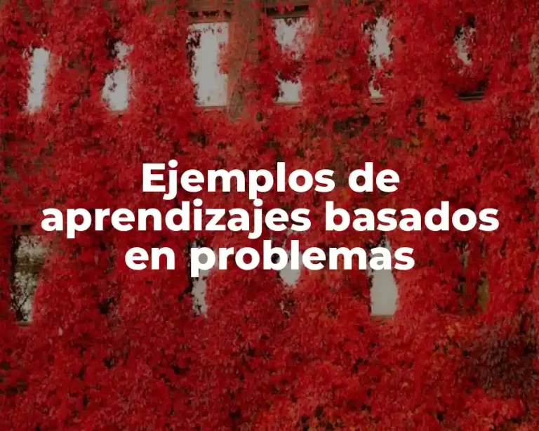 Ejemplos de aprendizajes basados en problemas