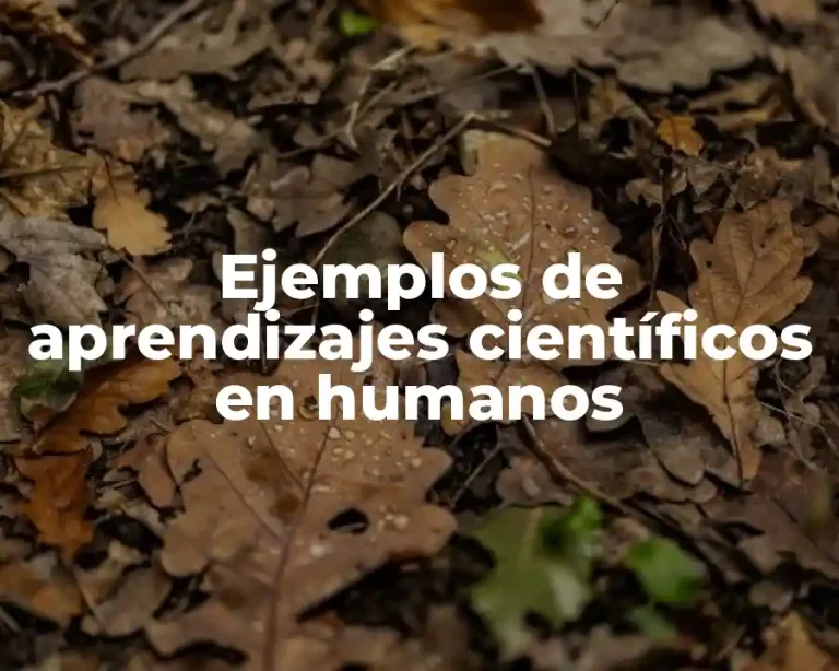 Ejemplos de aprendizajes científicos en humanos