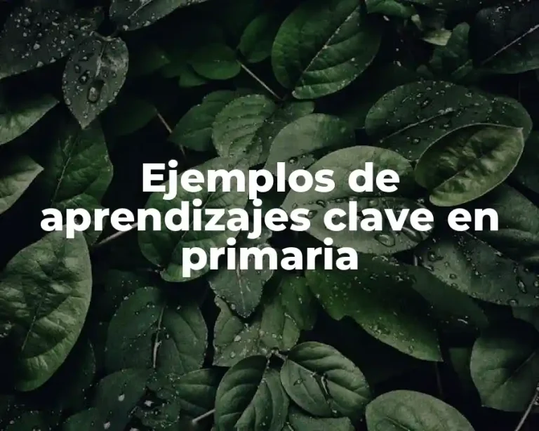Ejemplos de aprendizajes clave en primaria