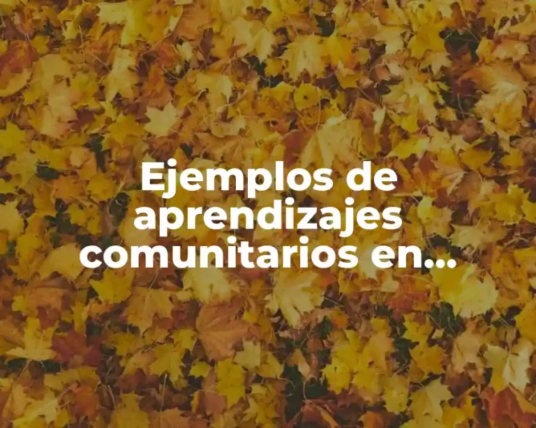 Ejemplos de aprendizajes comunitarios en secundaria